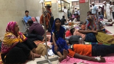 ডেঙ্গু জ্বর নিয়ে মহাগুরুত্বপূর্ণ ১০ তথ্য ডেঙ্গু জ্বর নিয়ে মহাগুরুত্বপূর্ণ ১০ তথ্য