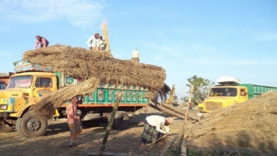 কাশিয়ায় চরাঞ্চলে মানুষের ভাগ্য পরিবর্তন 