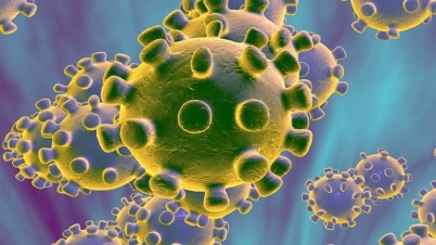 বাংলাদেশে প্রথম তিনজনের দেহে করোনাভাইরাস শনাক্ত বাংলাদেশে প্রথম তিনজনের দেহে করোনাভাইরাস শনাক্ত