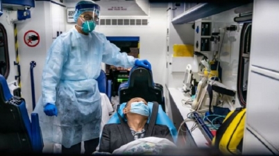 করোনা ভাইরাসে হাজারে মরছে ৪০ জন? করোনা ভাইরাসে হাজারে মরছে ৪০ জন?