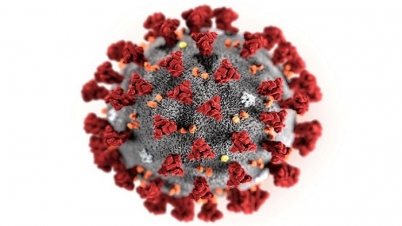 বিদেশফেরত কোয়ারেন্টিনে, পুলিশে খবর দিয়েছেন সন্দেহে নারীকে পিটুনি বিদেশফেরত কোয়ারেন্টিনে, পুলিশে খবর দিয়েছেন সন্দেহে নারীকে পিটুনি