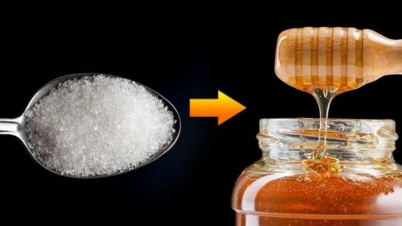 চিনির বিকল্প কী মধু? দৈনিক কী পরিমাণ চিনি খাওয়া যায়? চিনির বিকল্প কী মধু? দৈনিক কী পরিমাণ চিনি খাওয়া যায়?