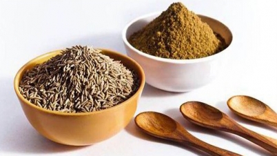 জিরা শুধু মশলা নয়, বহু রোগের মহৌষধও জিরা শুধু মশলা নয়, বহু রোগের মহৌষধও