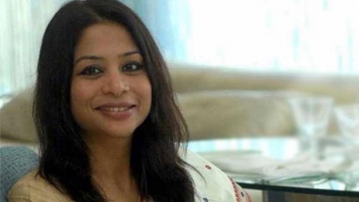 যে নারীর কারণে ভারতের সাবেক অর্থমন্ত্রী কারাগারে