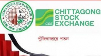 শেয়ারবাজারে ভয়াবহ পতন: বিনিয়োগকারীদের বিক্ষোভ