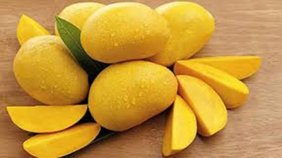 বুঝেশুনে আম খান বুঝেশুনে আম খান