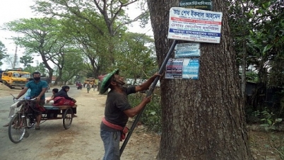 গাছ থেকে ৬ মণ তারকাঁটা তুললেন বৃক্ষপ্রেমিক