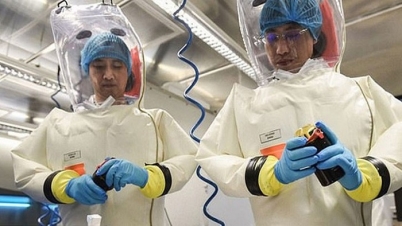 করোনাভাইরাসের চিকিৎসায় নতুন পদ্ধতি অবলম্বন, মিলছে সাফল্য করোনাভাইরাসের চিকিৎসায় নতুন পদ্ধতি অবলম্বন, মিলছে সাফল্য