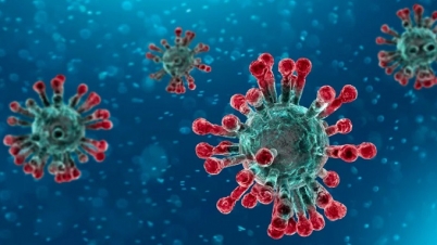 করোনাভাইরাস : উদ্বিগ্ন বিদেশি ক্রেতারা করোনাভাইরাস : উদ্বিগ্ন বিদেশি ক্রেতারা