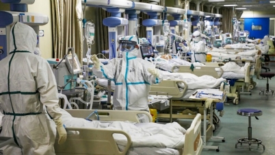 করোনাভাইরাস: একদিনেই ঝরলো ২৪২ প্রাণ করোনাভাইরাস: একদিনেই ঝরলো ২৪২ প্রাণ