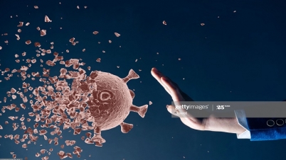 করোনা : কীভাবে ক্ষতিগ্রস্ত করে শরীরকে ? করোনা : কীভাবে ক্ষতিগ্রস্ত করে শরীরকে ?