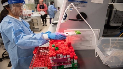 ‘করোনাভাইরাস পরীক্ষায় পরীক্ষাগার স্থাপন করা হবে’ ‘করোনাভাইরাস পরীক্ষায় পরীক্ষাগার স্থাপন করা হবে’