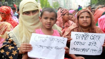 নতুন শিক্ষা প্রতিষ্ঠান এমপিওভুক্ত হচ্ছে