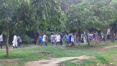 জাবিতে মিষ্টি খাওয়া নিয়ে ছাত্রলীগের গোলাগুলি, আহত ৩০