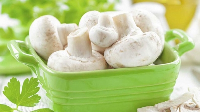 কেন খাবেন মাশরুম? কেন খাবেন মাশরুম?