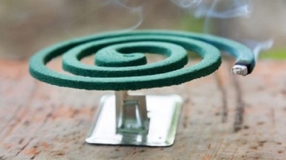 কয়েলের ধোঁয়ায় বাড়ছে ফুসফুস ও হার্টের রোগ কয়েলের ধোঁয়ায় বাড়ছে ফুসফুস ও হার্টের রোগ