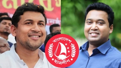 শোভন-রাব্বানীর গণভবনে প্রবেশের পাস বাতিল 