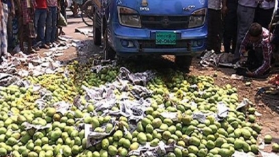 কার্বাইড দিয়ে পাকানো হচ্ছে আম কার্বাইড দিয়ে পাকানো হচ্ছে আম