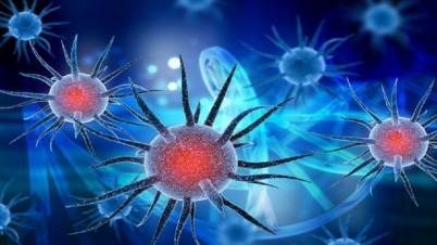 আতঙ্কিত নয়, সচেতন হোন আতঙ্কিত নয়, সচেতন হোন