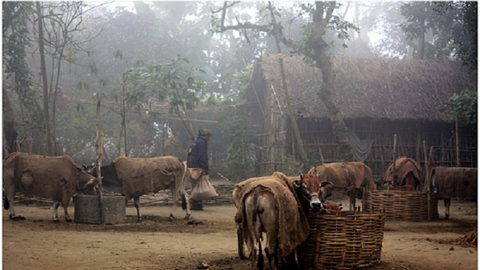 ছবি সংগৃহীত