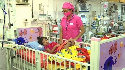 ডেঙ্গুতে মৃত্যুর হার আশংকাজনক ডেঙ্গুতে মৃত্যুর হার আশংকাজনক