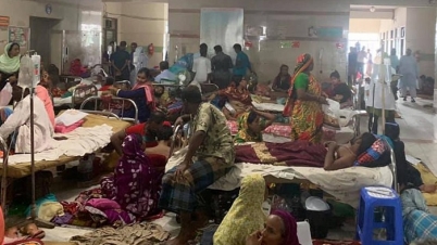 ডেঙ্গুতে আরো ১১ জনের মৃত্যু ডেঙ্গুতে আরো ১১ জনের মৃত্যু