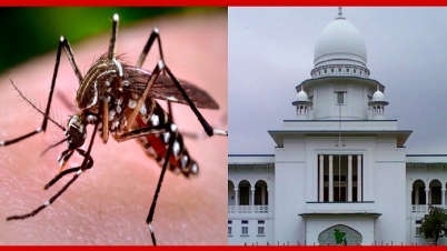 কাজ করছে না মশা মারা ওষুধ! কাজ করছে না মশা মারা ওষুধ!