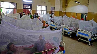 রেকর্ড ছাড়িয়েছে ডেঙ্গু, উৎকণ্ঠা-উদ্বেগ রেকর্ড ছাড়িয়েছে ডেঙ্গু, উৎকণ্ঠা-উদ্বেগ