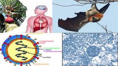 ঠাকুরগাঁওয়ে মারা গেলেন ৫ জন ঠাকুরগাঁওয়ে মারা গেলেন ৫ জন