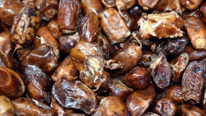 কিলবিল করছে পোকা ! কিলবিল করছে পোকা !