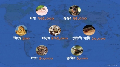 বিশ্বে প্রাণঘাতি যত প্রাণী বিশ্বে প্রাণঘাতি যত প্রাণী