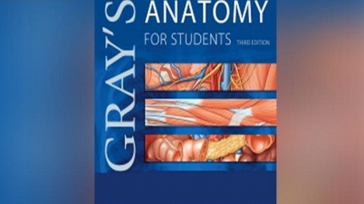 ৫৫০০ টাকার বই কিনেছে ৮৫৫০০ টাকায়! ৫৫০০ টাকার বই কিনেছে ৮৫৫০০ টাকায়!