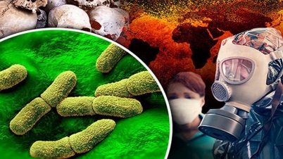 বিশ্বের যতো মারাত্মক মহামারি রোগ বিশ্বের যতো মারাত্মক মহামারি রোগ