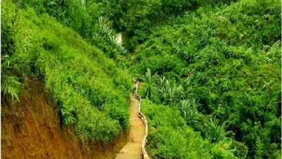 রাঙামাটির গহীন অরণ্যে গোলাগুলি, নিহত ৩ রাঙামাটির গহীন অরণ্যে গোলাগুলি, নিহত ৩