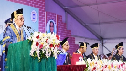 পদ-পদবির লোভে লবিংয়ে ব্যস্ত বিশ্ববিদ্যালয় শিক্ষকরা : রাষ্ট্রপতি