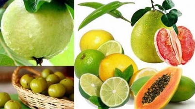 করোনা ভাইরাস : প্রচুর ভিটামিন সি খান করোনা ভাইরাস : প্রচুর ভিটামিন সি খান