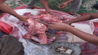 ৪২ কেজি হরিণের মাংস : থানায় জমা পড়লো ৩৪ কেজি ৪২ কেজি হরিণের মাংস : থানায় জমা পড়লো ৩৪ কেজি