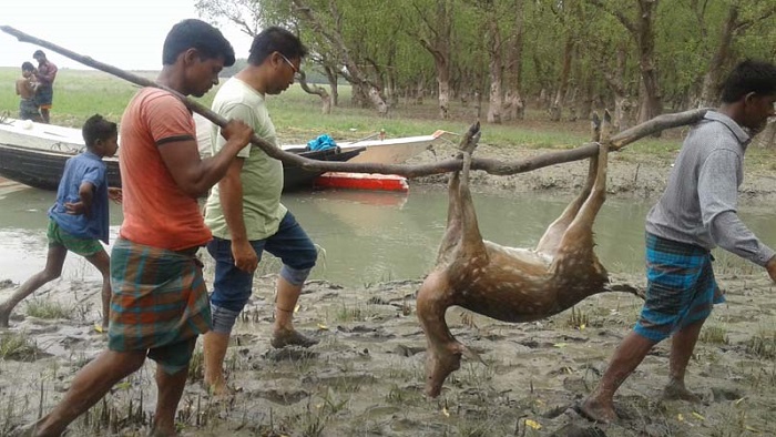 ফাইল ফটো