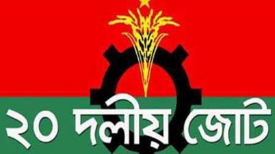ধানের শীষ মার্কা ২৯৮ আসনে, বিএনপির  প্রার্থী ২৪২