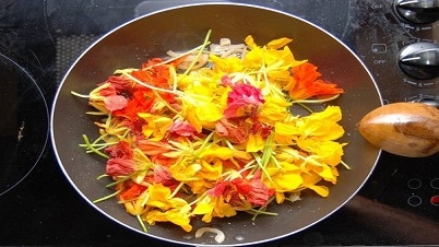 ফুল খান, ডাক্তার থেকে দূরে থাকুন