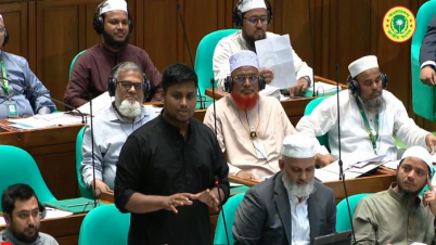 ট্যাক্স ফ্রি নয়, সরকারি মালিকানাধীন গাড়ি চেয়েছি: হাসনাত