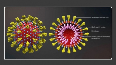যে যে দেশে ছড়িয়েছে নতুন করোনা