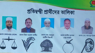 ঠাকুরগাঁও-১ উপনির্বাচনের প্রতীক বরাদ্দ