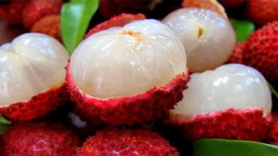 পাকা ও মিষ্টি লিচু চেনার ৯ কৌশল