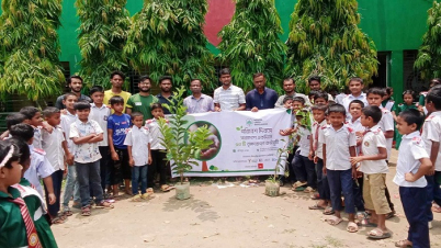 পরিবেশ দিবসে দেশের ৫৩ স্থানে মিশন গ্রিন বাংলাদেশের বৃক্ষরোপণ