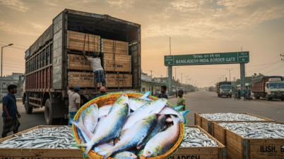 দুর্গাপূজায় ভারতে ১২০০ টন ইলিশ পাঠাচ্ছে সরকার