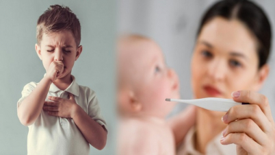 বাচ্চার সর্দি-কাশি সারান ঘরোয়া উপায়ে বাচ্চার সর্দি-কাশি সারান ঘরোয়া উপায়ে