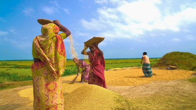 আমাদের কালের নবান্ন