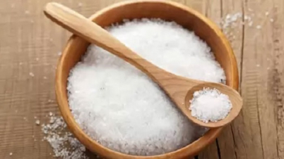 লবণ কিডনির ক্ষতি করে, বিকল্প হাতের কাছেই লবণ কিডনির ক্ষতি করে, বিকল্প হাতের কাছেই