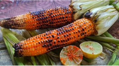 ভুট্টার পুষ্টিগুণ জানলে অবাক হবেন ভুট্টার পুষ্টিগুণ জানলে অবাক হবেন